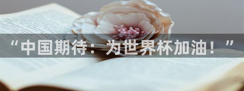 世界杯预选赛直播：“中国期待：为世界杯加油！”