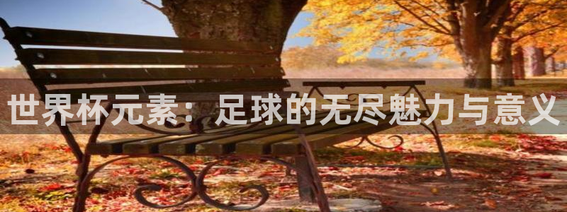 世界杯欧洲区赛程：世界杯元素：足球的无尽魅力与意义