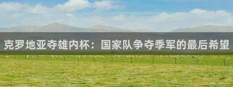 世界杯足球比赛：克罗地亚夺雄内杯：国家队争夺季军的最后希望