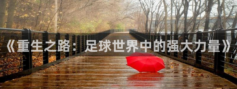 世界杯预选赛：《重生之路：足球世界中的强大力量》