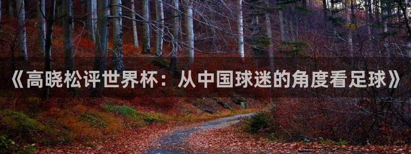 世界杯在线直播入口：《高晓松评世界杯：从中国球迷的角度看足球》