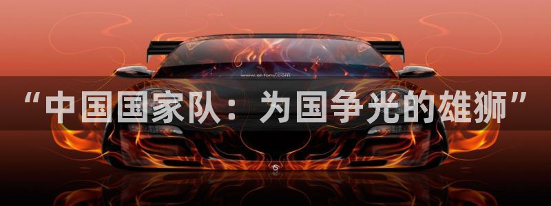 2006年世界杯冠军：“中国国家队：为国争光的雄狮”