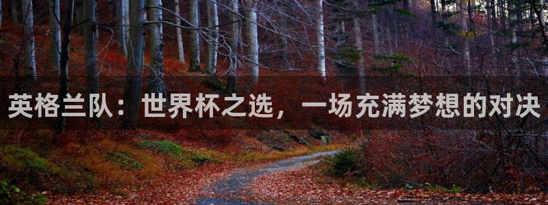 世界杯转播表：英格兰队：世界杯之选，一场充满梦想的对决