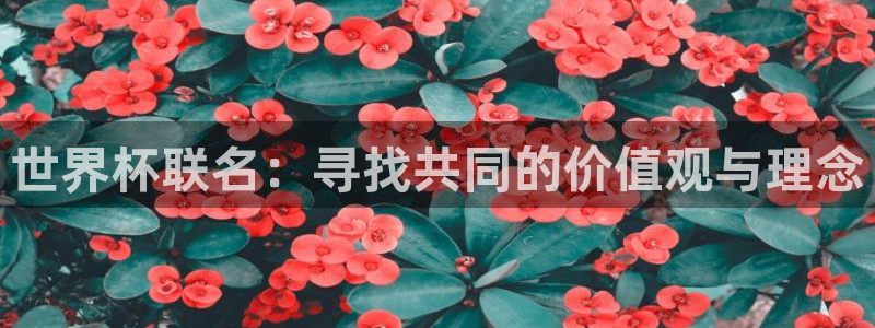 世界杯预选赛直播：世界杯联名：寻找共同的价值观与理念