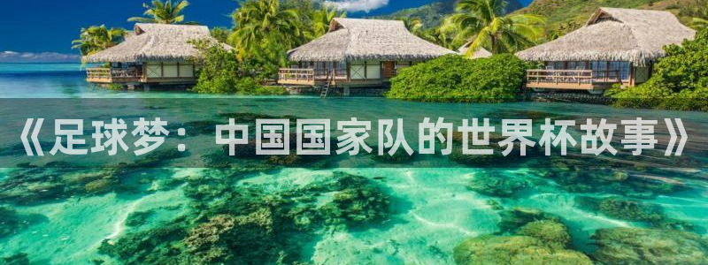 中国 世界杯：《足球梦：中国国家队的世界杯故事》