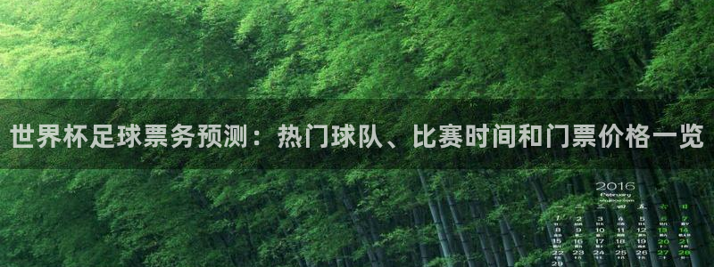 今年的世界杯：世界杯足球票务预测：热门球队、比赛时间和门票价格一览