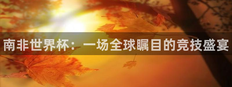 世界杯2026赛制：南非世界杯：一场全球瞩目的竞技盛宴
