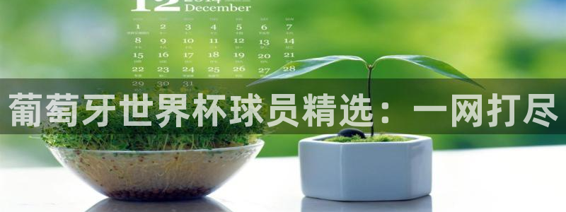 看世界杯：葡萄牙世界杯球员精选：一网打尽