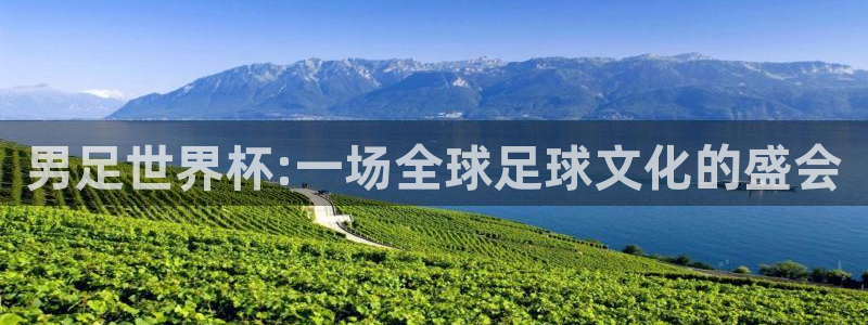 世界杯球队:男足世界杯:一场全球足球文化的盛会
