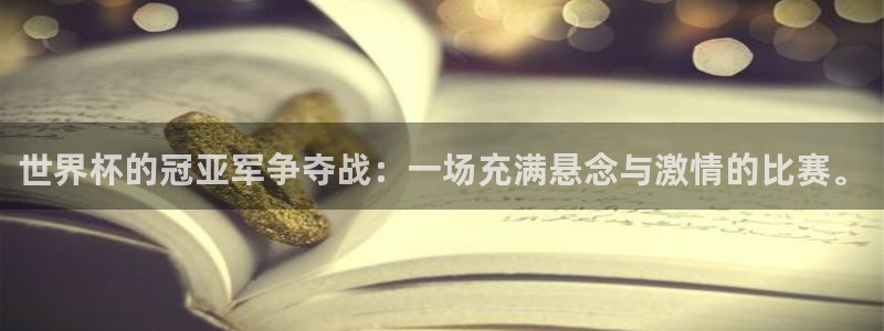 足球世预赛：世界杯的冠亚军争夺战：一场充满悬念与激情的比赛。