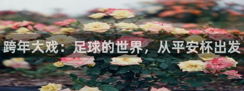 世界杯转播表：跨年大戏：足球的世界，从平安杯出发