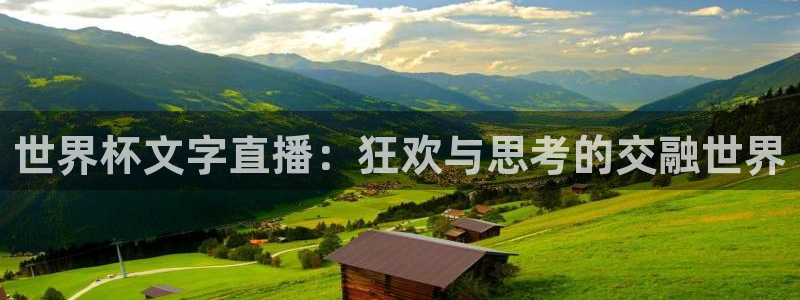 2026世界杯赛制：世界杯文字直播：狂欢与思考的交融世界