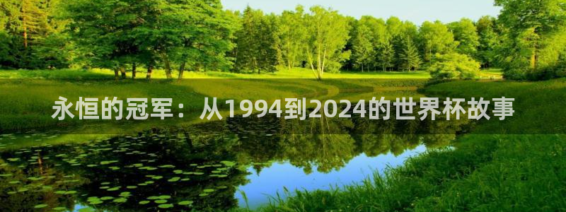 今天所有足球赛程表：永恒的冠军：从1994到2024的世界杯故事