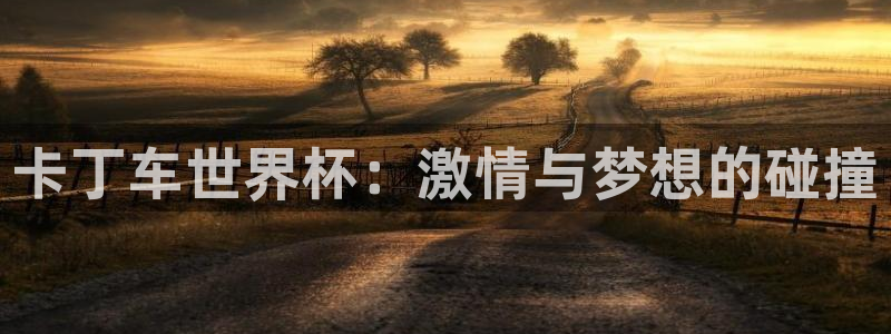 世界杯预选赛直播：卡丁车世界杯：激情与梦想的碰撞